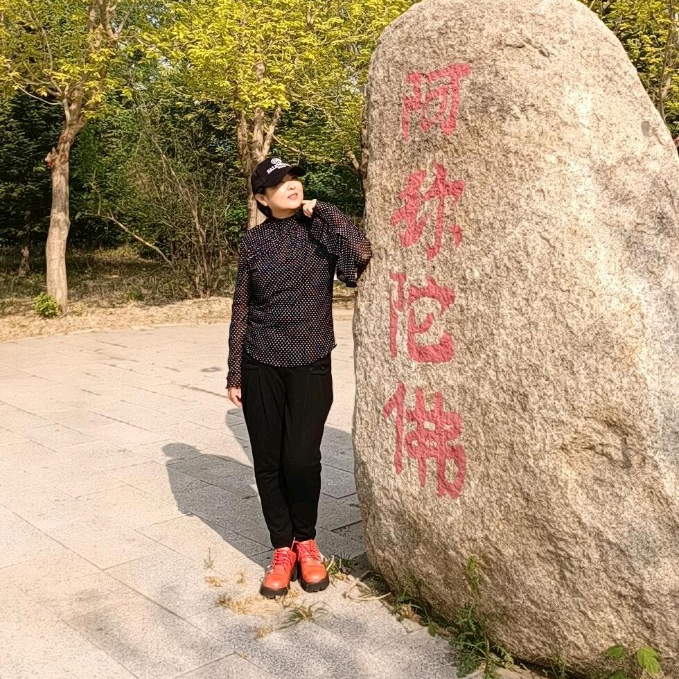 南山松asd