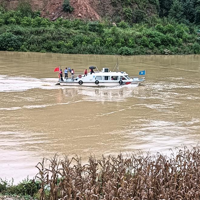 自由飞翔，
