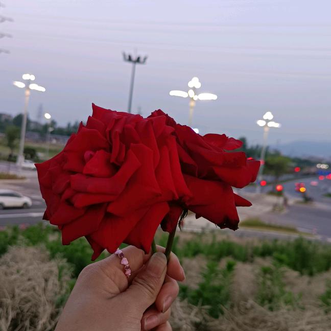 🥀᭄累了꧔ꦿᩚ💞谁心疼ꦿྀ