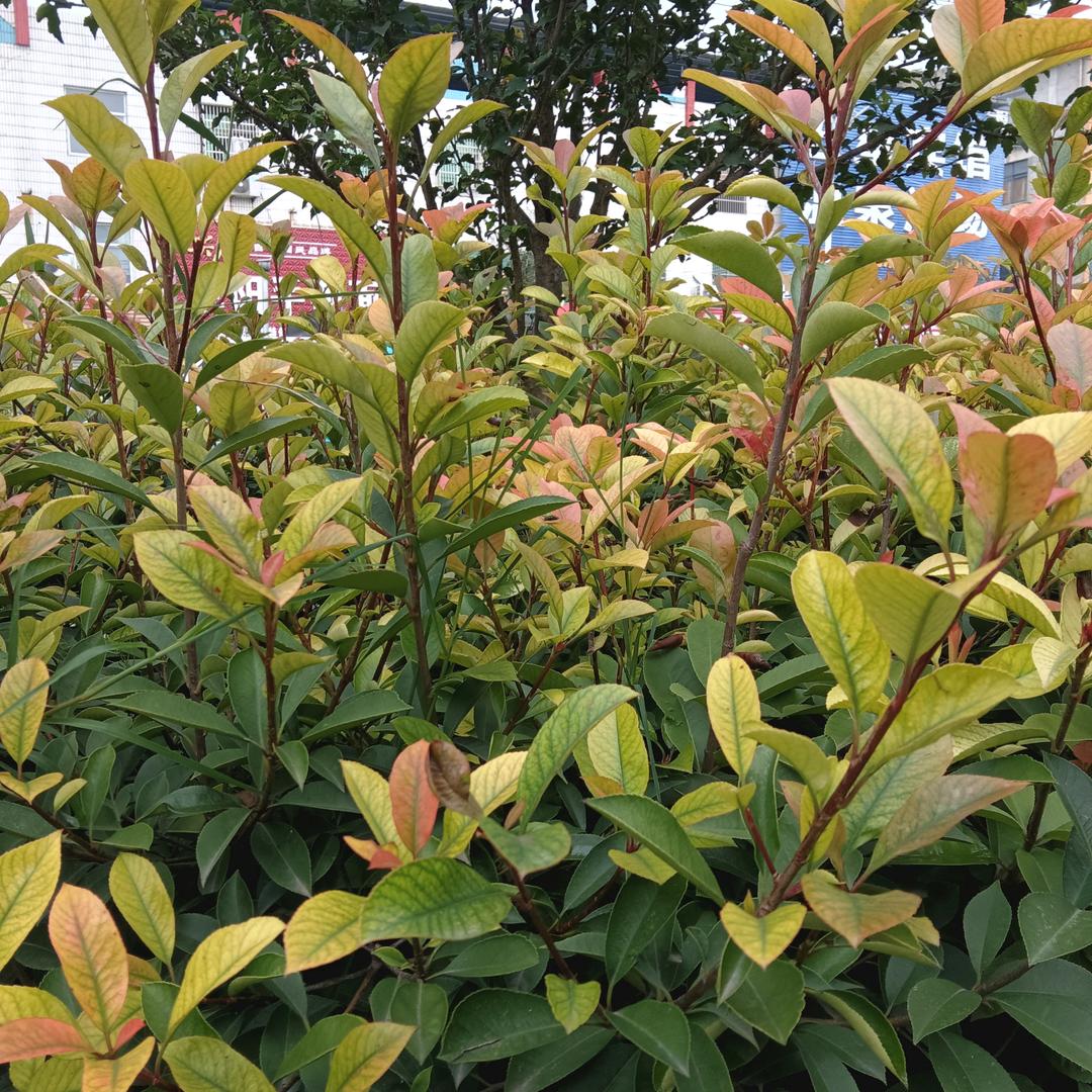 开开心心每一天