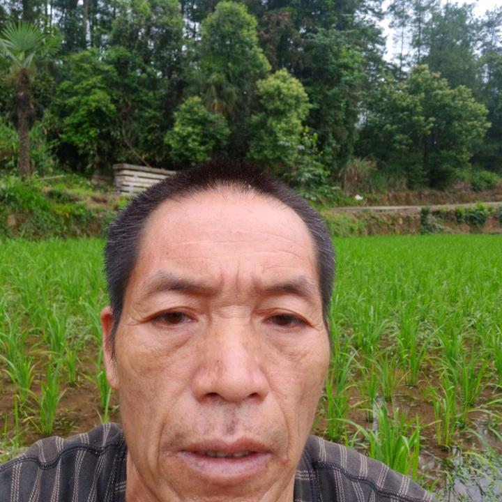 单身哥李孑果园（3721）