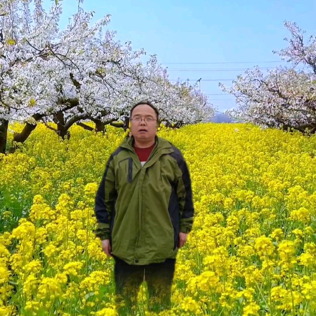 与你同行