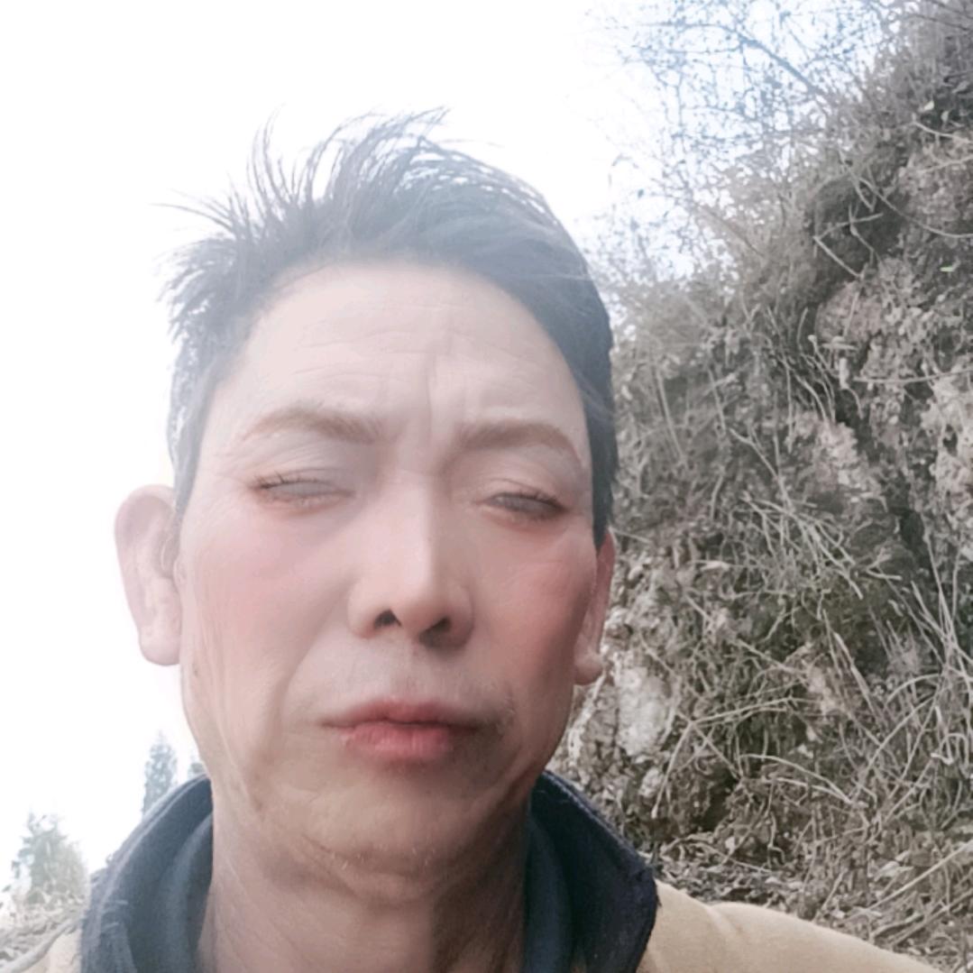 贵哥，