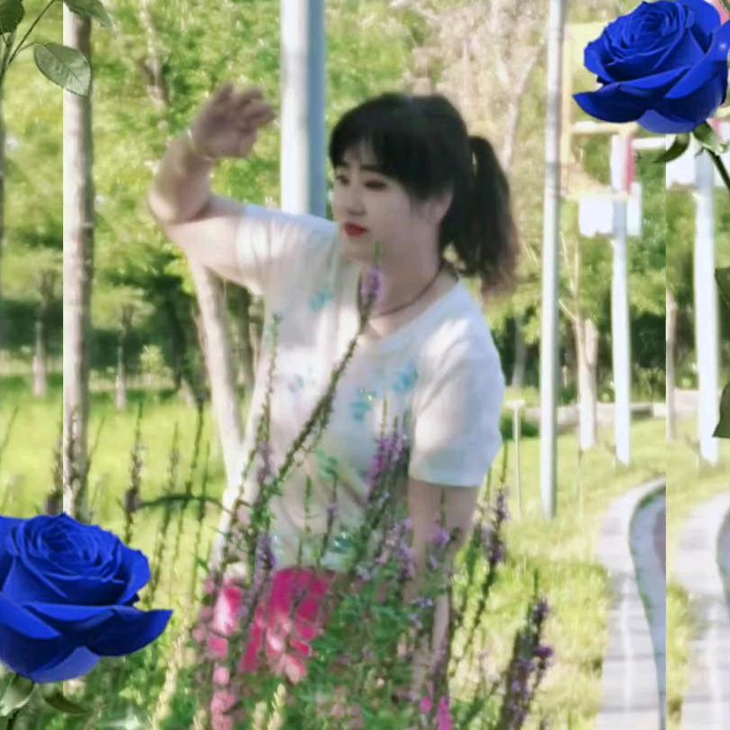 🍎🍎八方来财