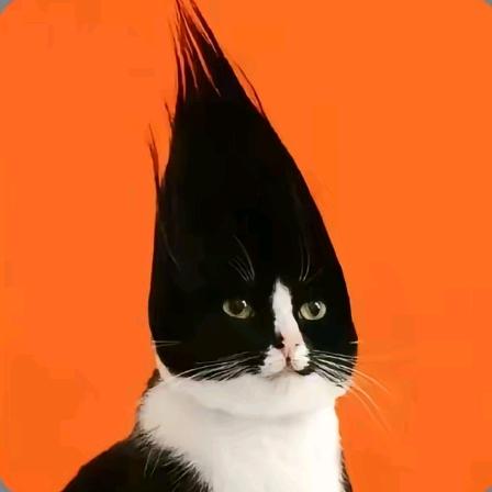 像我这样主动刀人的狼