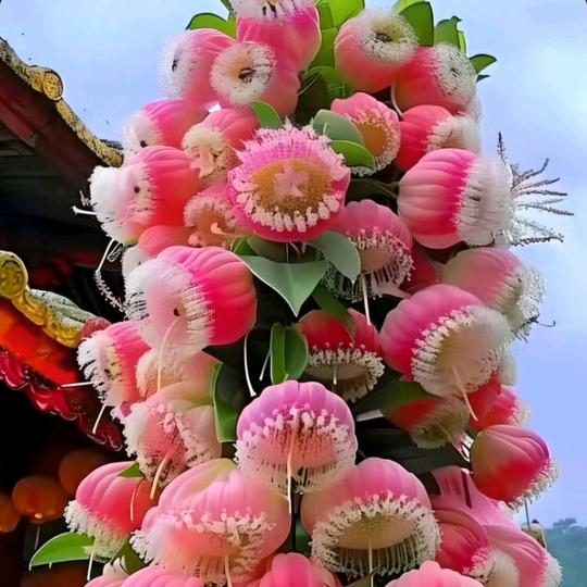 幸福一家庭💞🎎💖