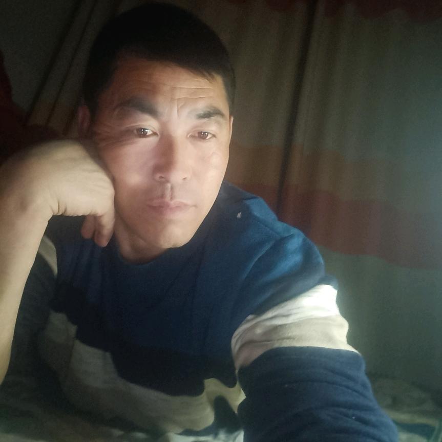 南飞雁