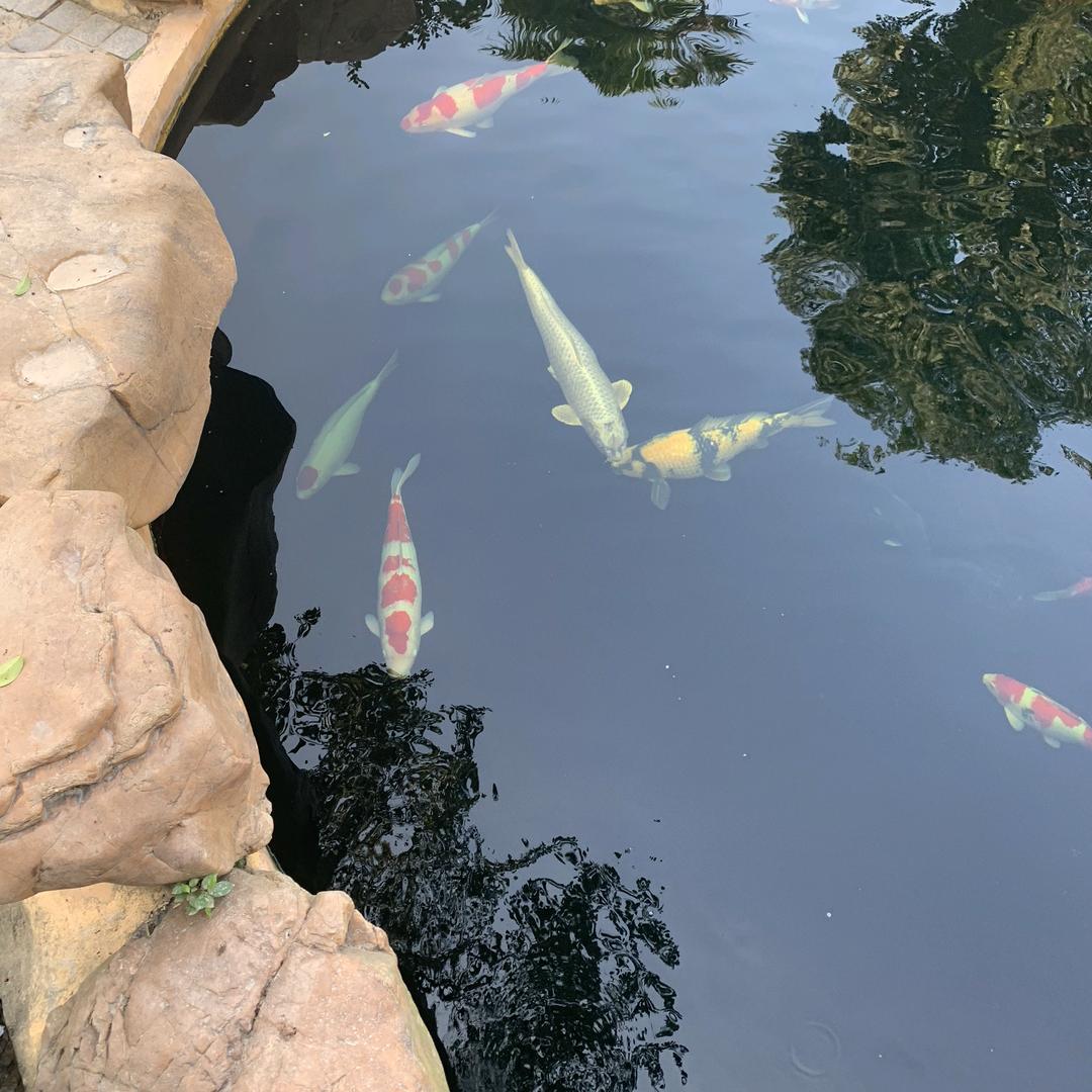 心存敬畏