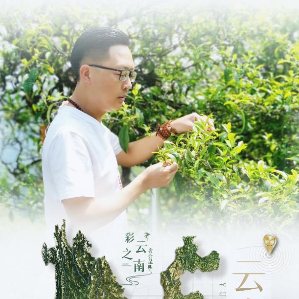 裘茶醉