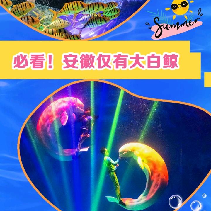 芜湖大白鲸海洋公园《小淘气》
