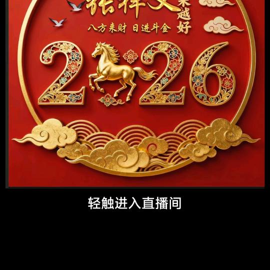 《天天发财黄总》