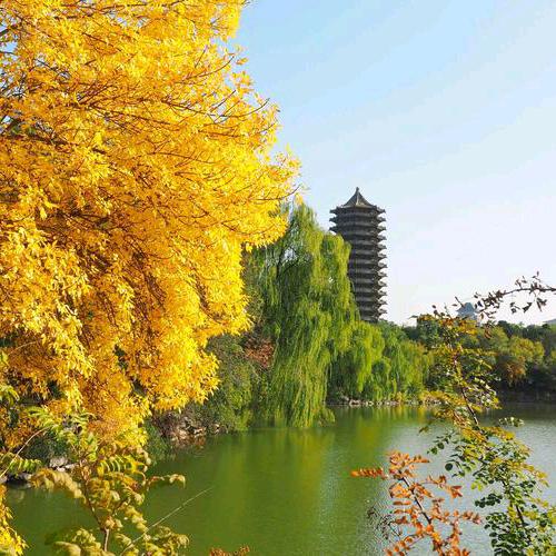 英华大学升学 教育
