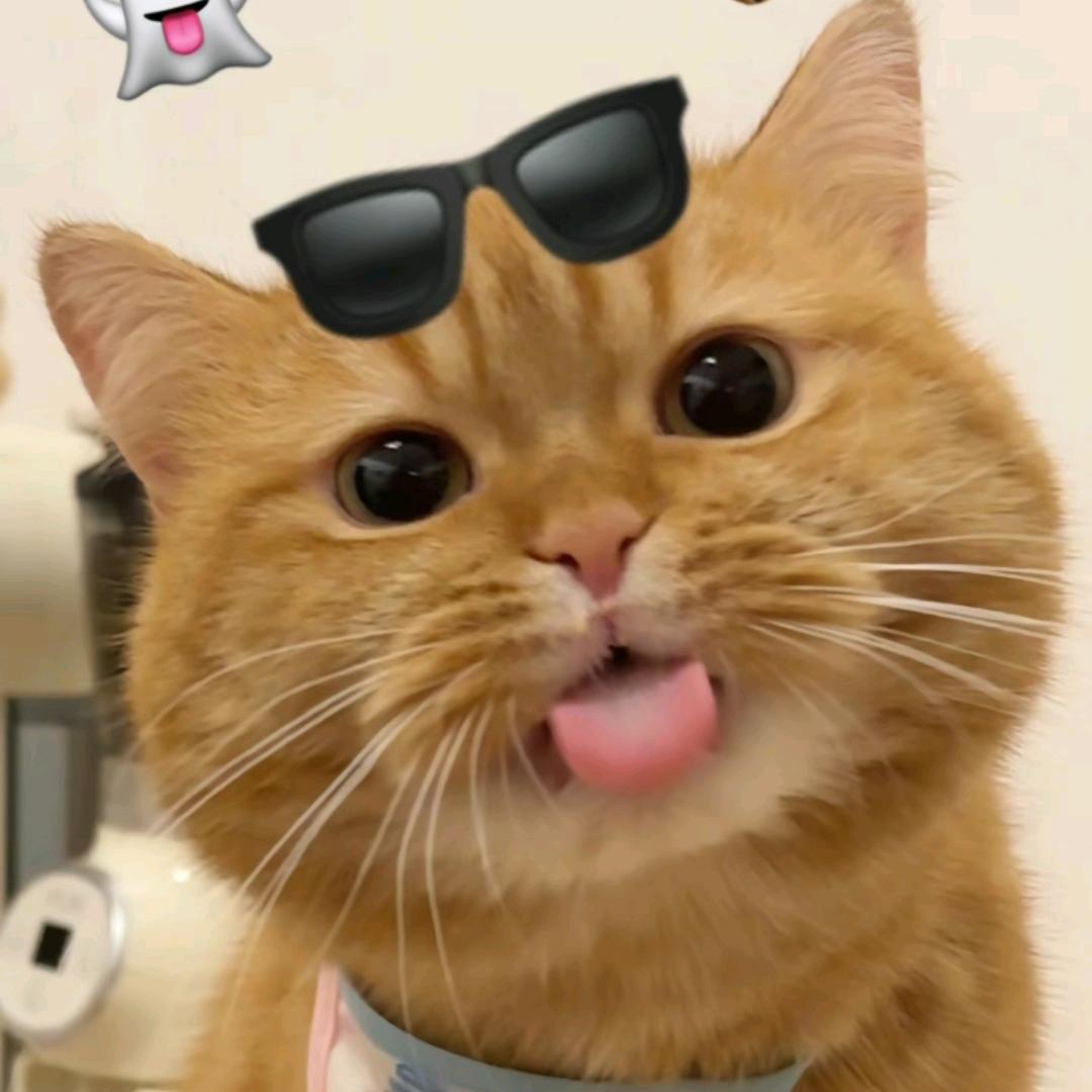 戛纳