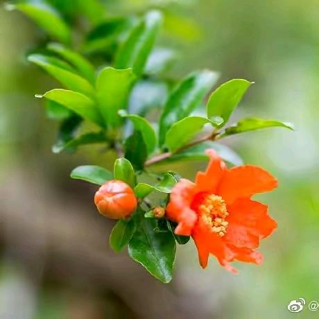 婷婷🍒