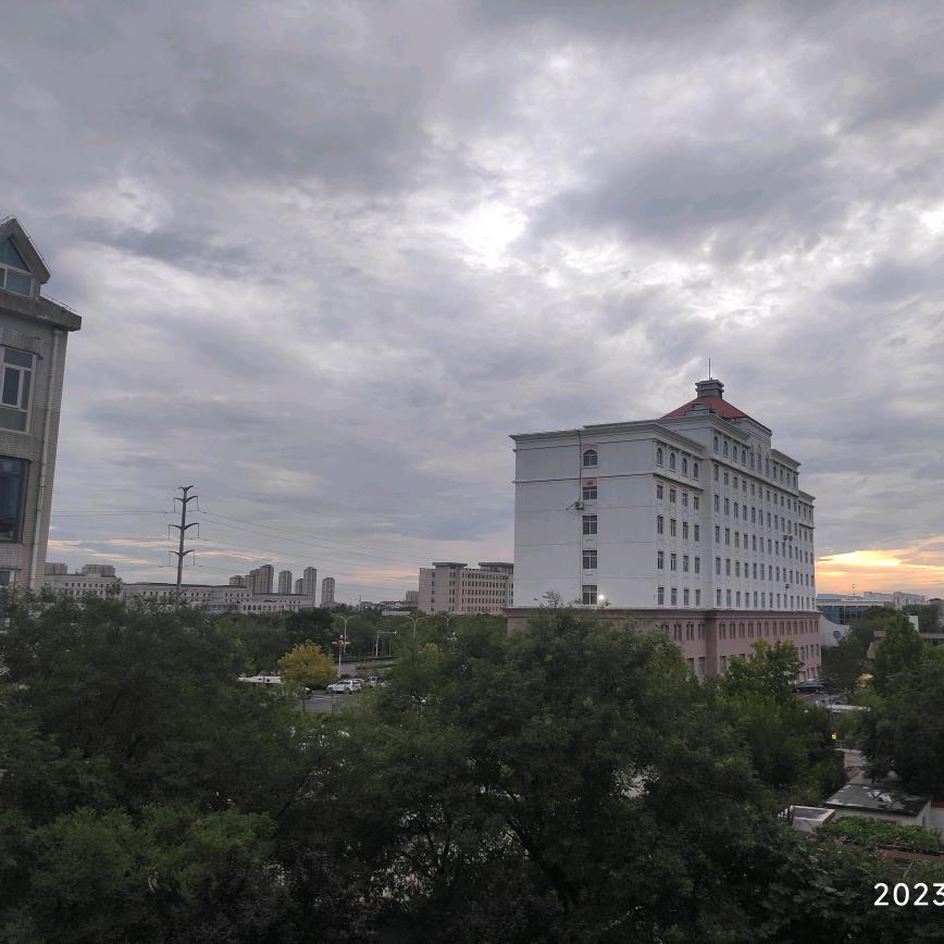 洋-冬