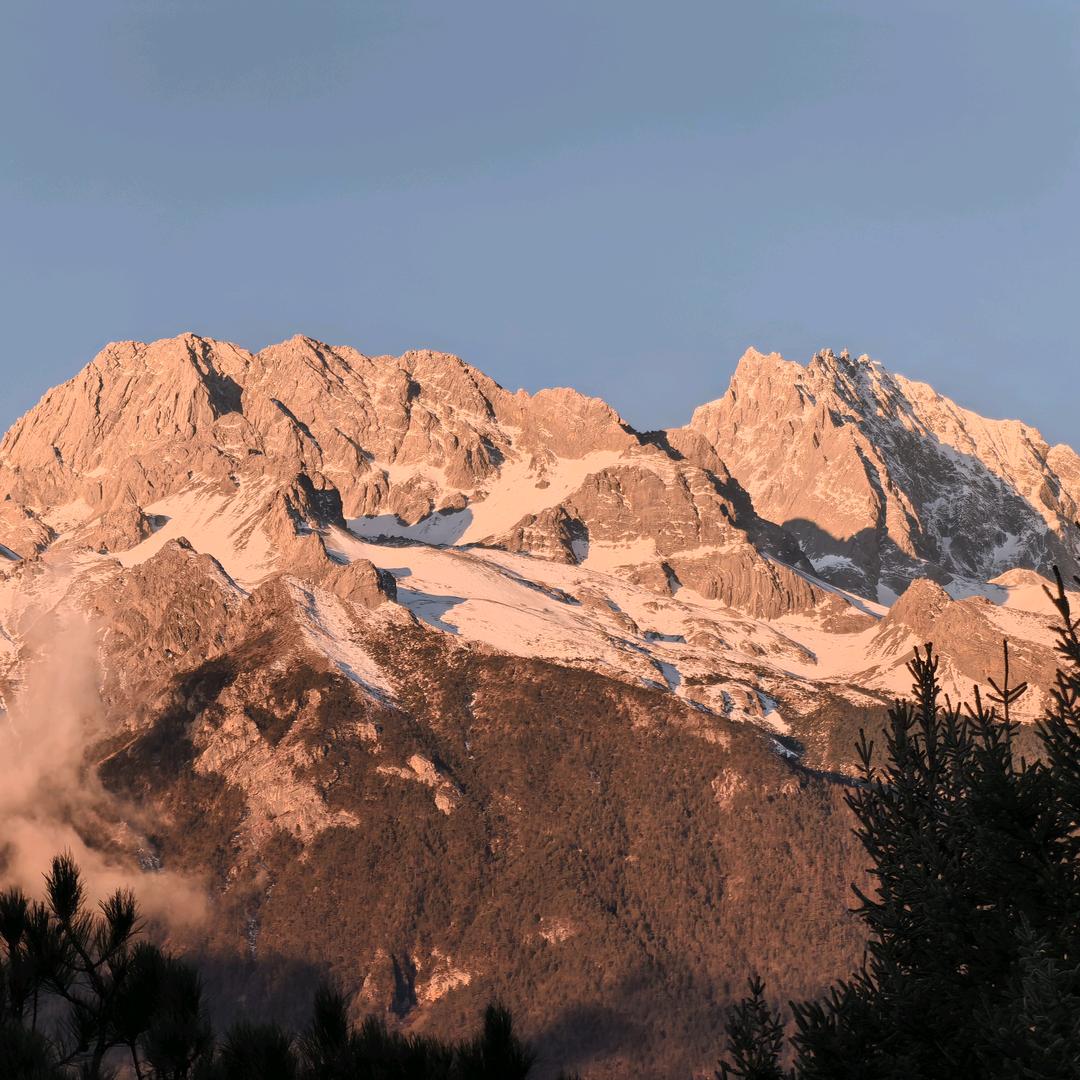 任肥今天吃了啥？