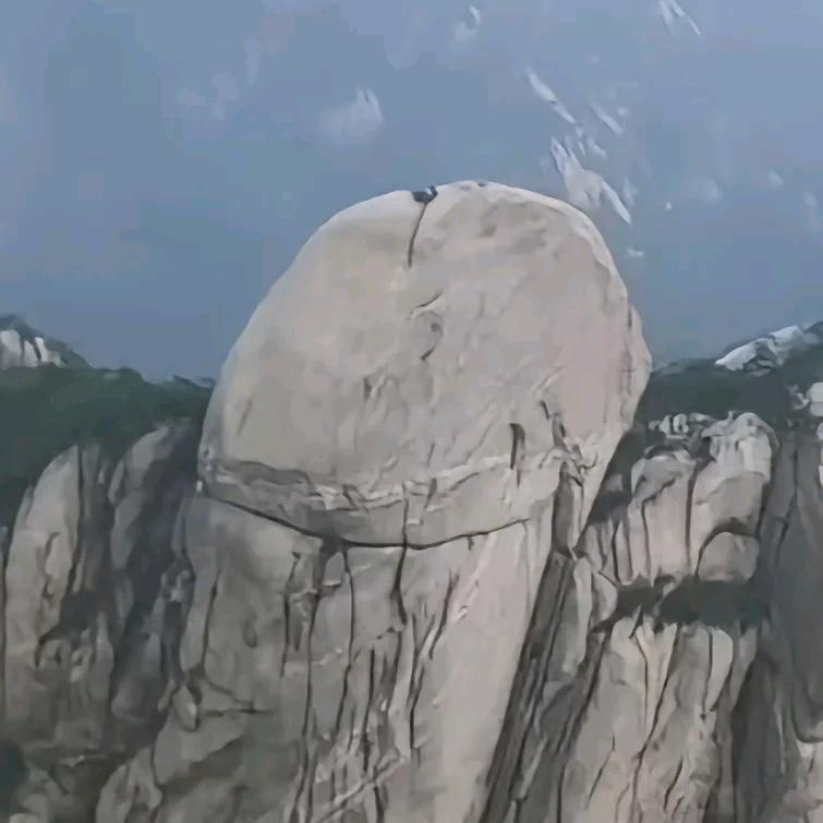 九零后返乡养殖记录