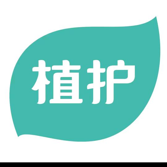 纸巾福利直播间