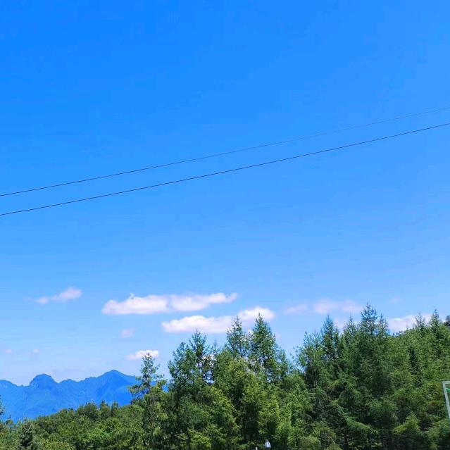 🍒笑对人生🎄