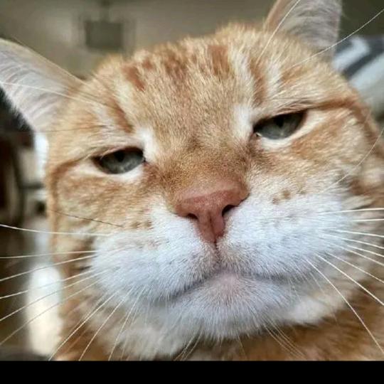 一双拖鞋走天涯