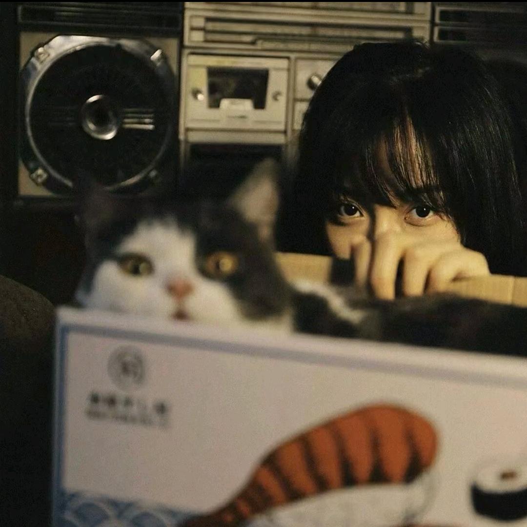 失眠小薯.
