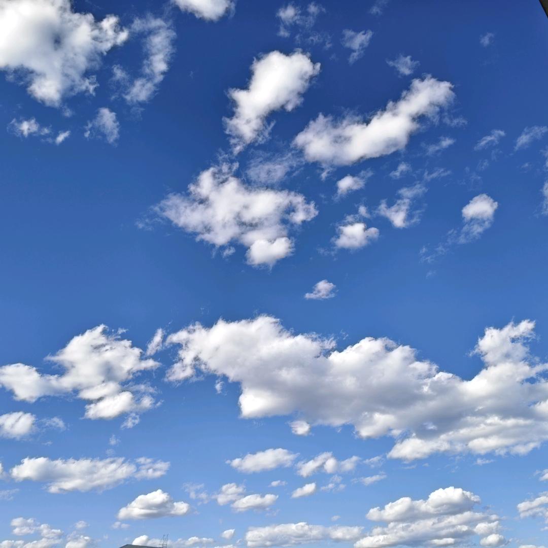 ₍˄·͈༝·͈˄*₎◞ ̑̑拈花一笑