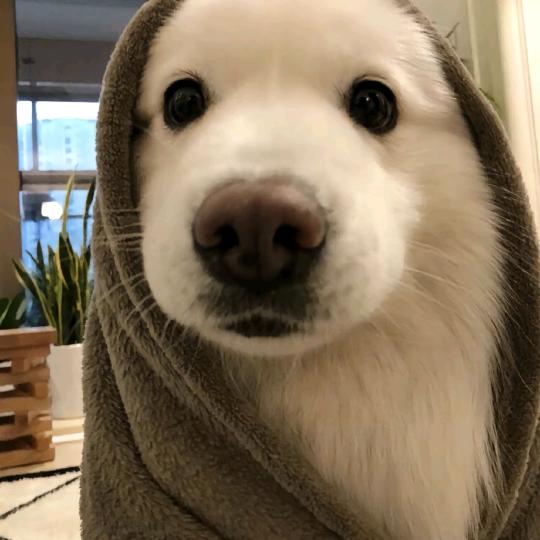 Hello