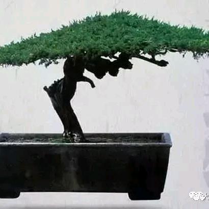 AA水龙头批发零售老李