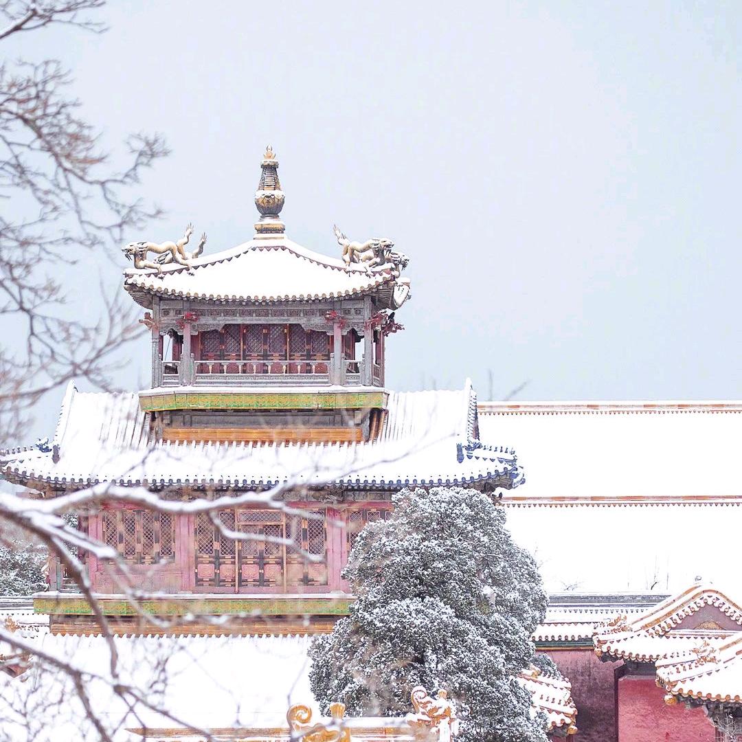 要是可以不用睡觉就好了