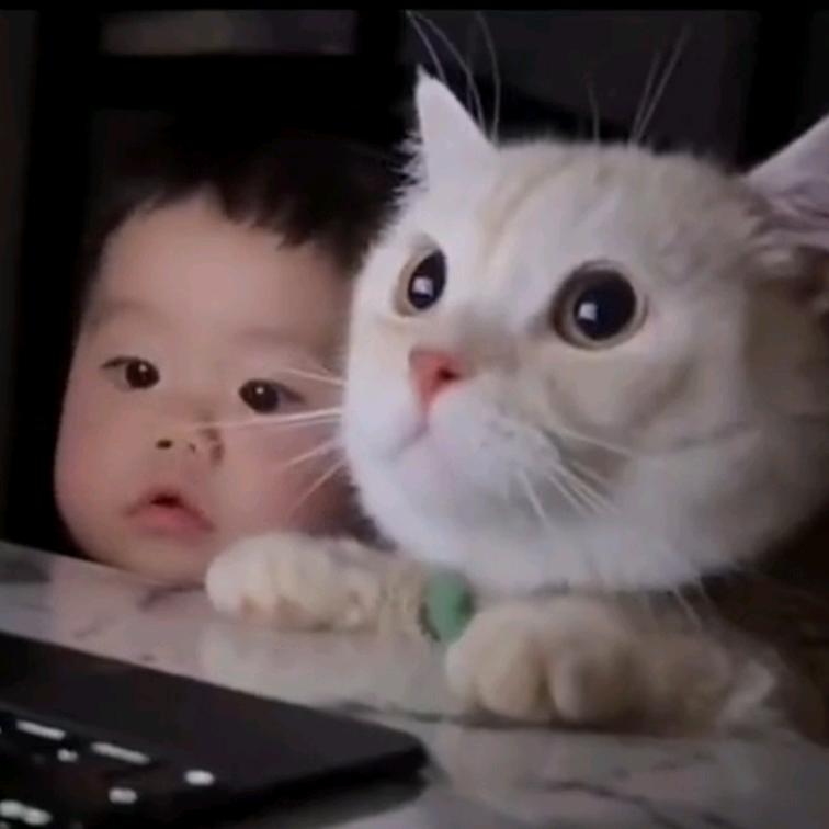 2012年的夏天