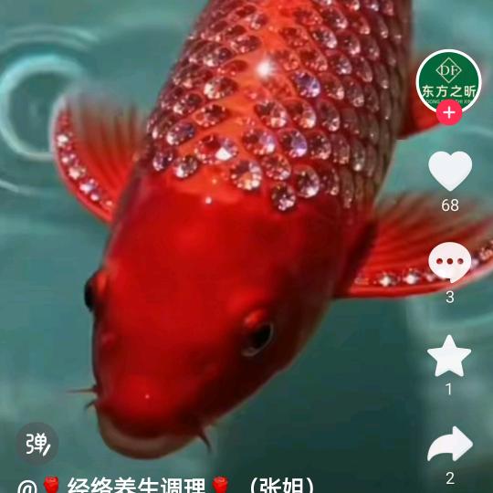 有多远的路可走