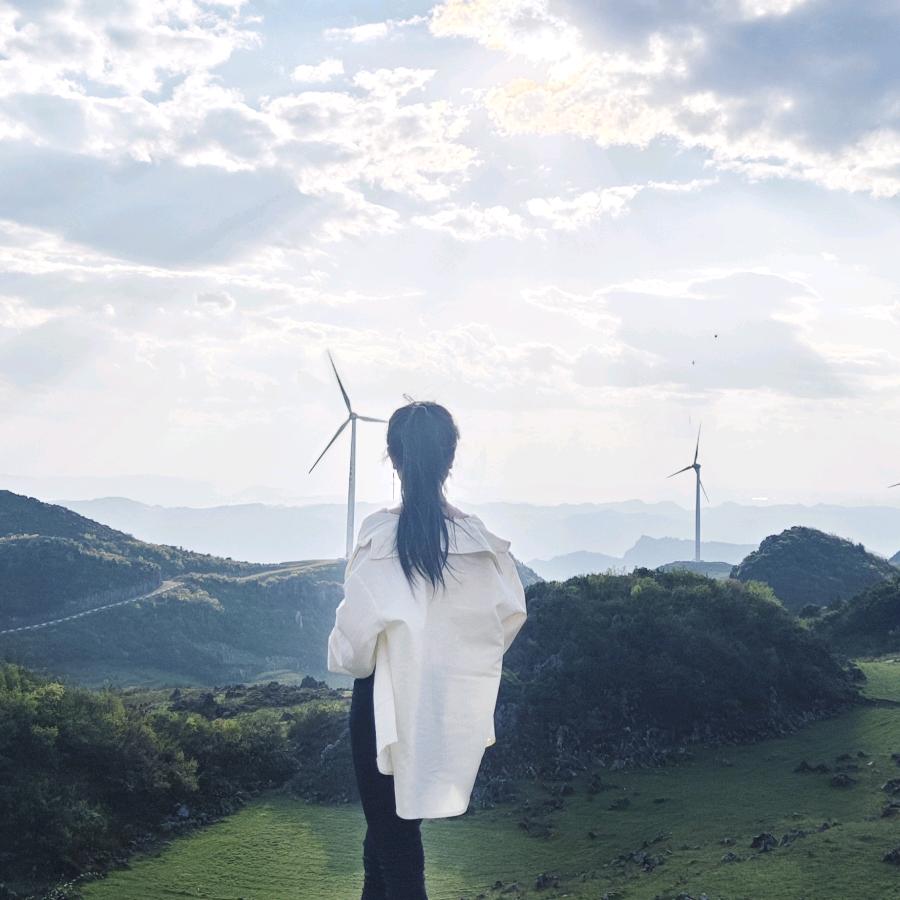 艳阳天~花蕊香