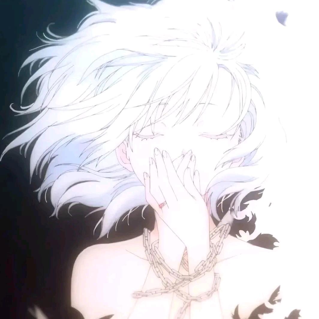 君桉