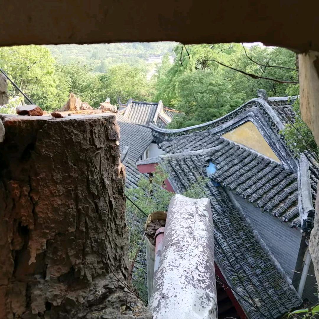 大好山河