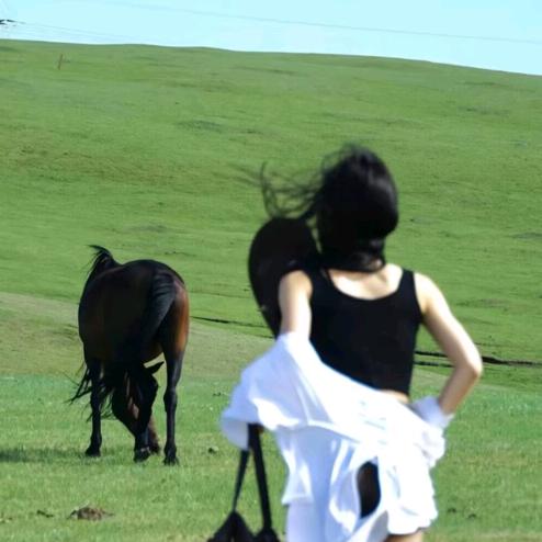 ㅤㅤ  ￰ㅤ  ㅤㅤY