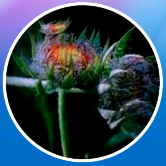 无所谓😂😂😂