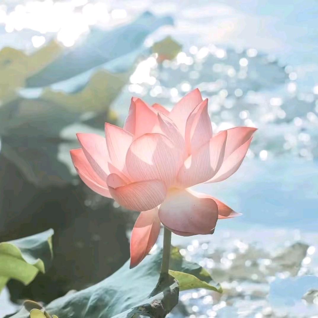 郝兰芳