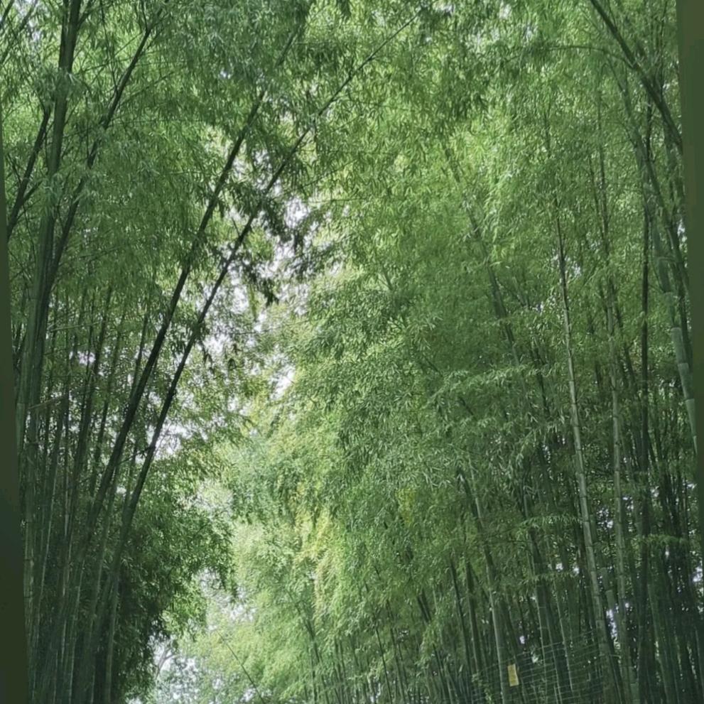 聚贤阁