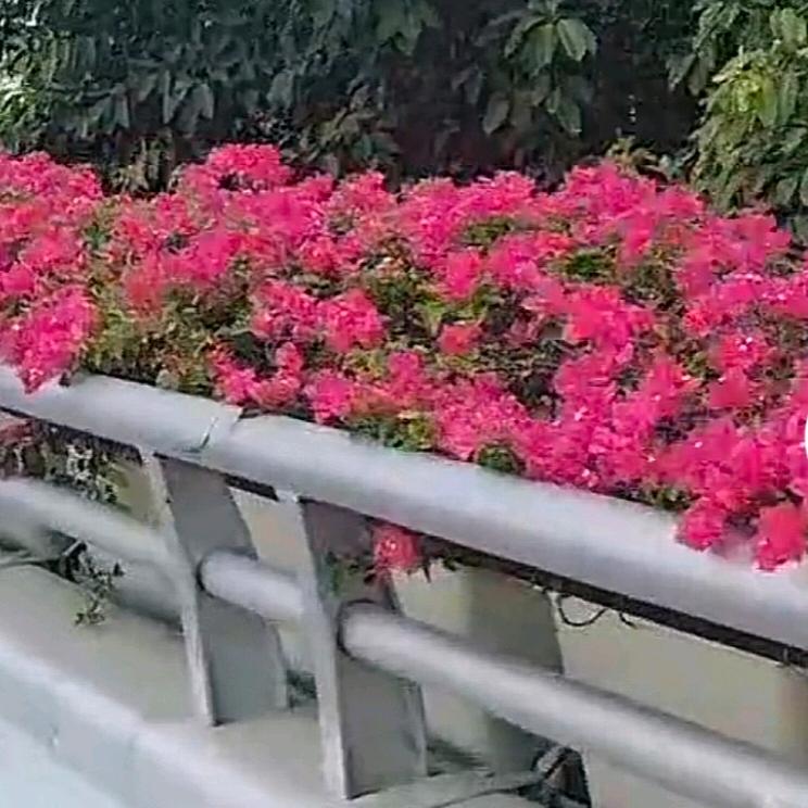 行天下.