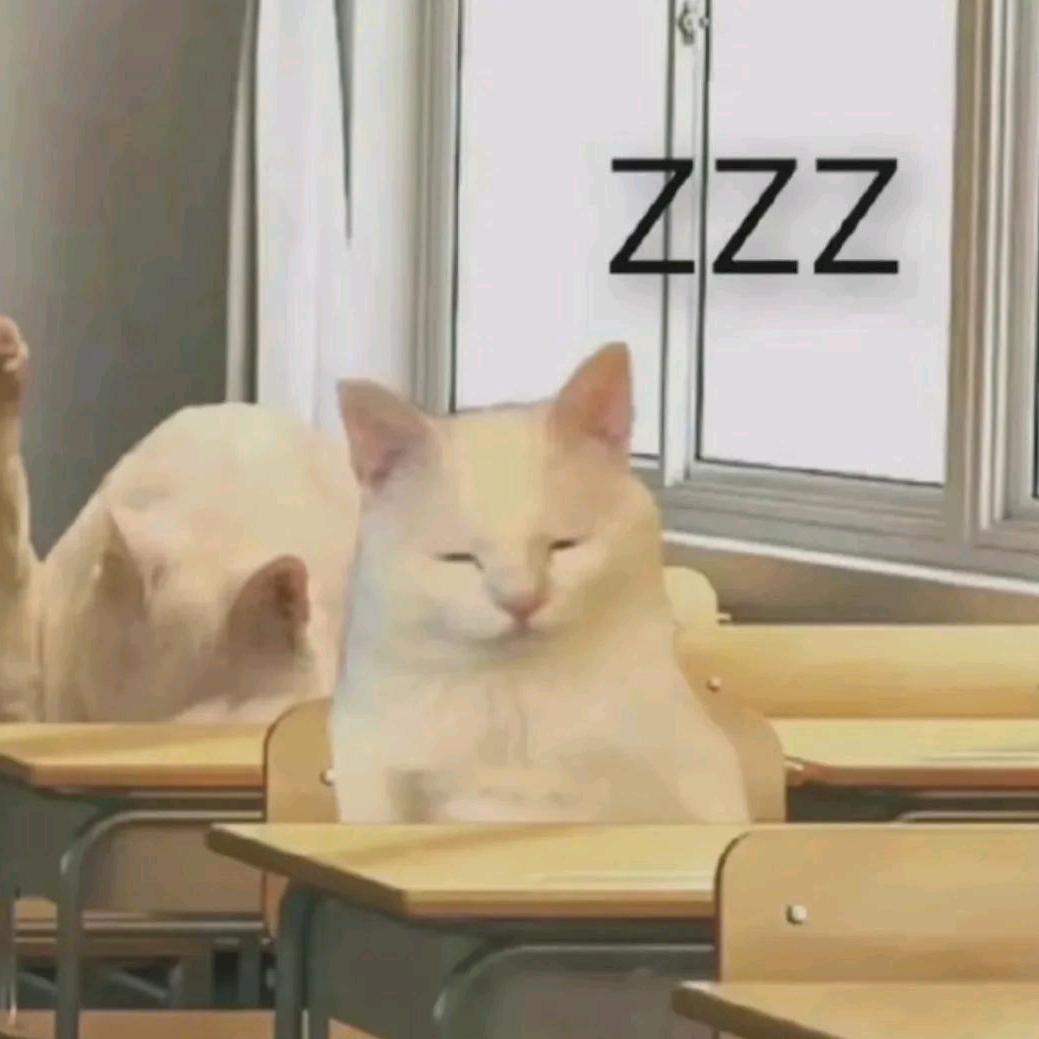 甜心小猫
