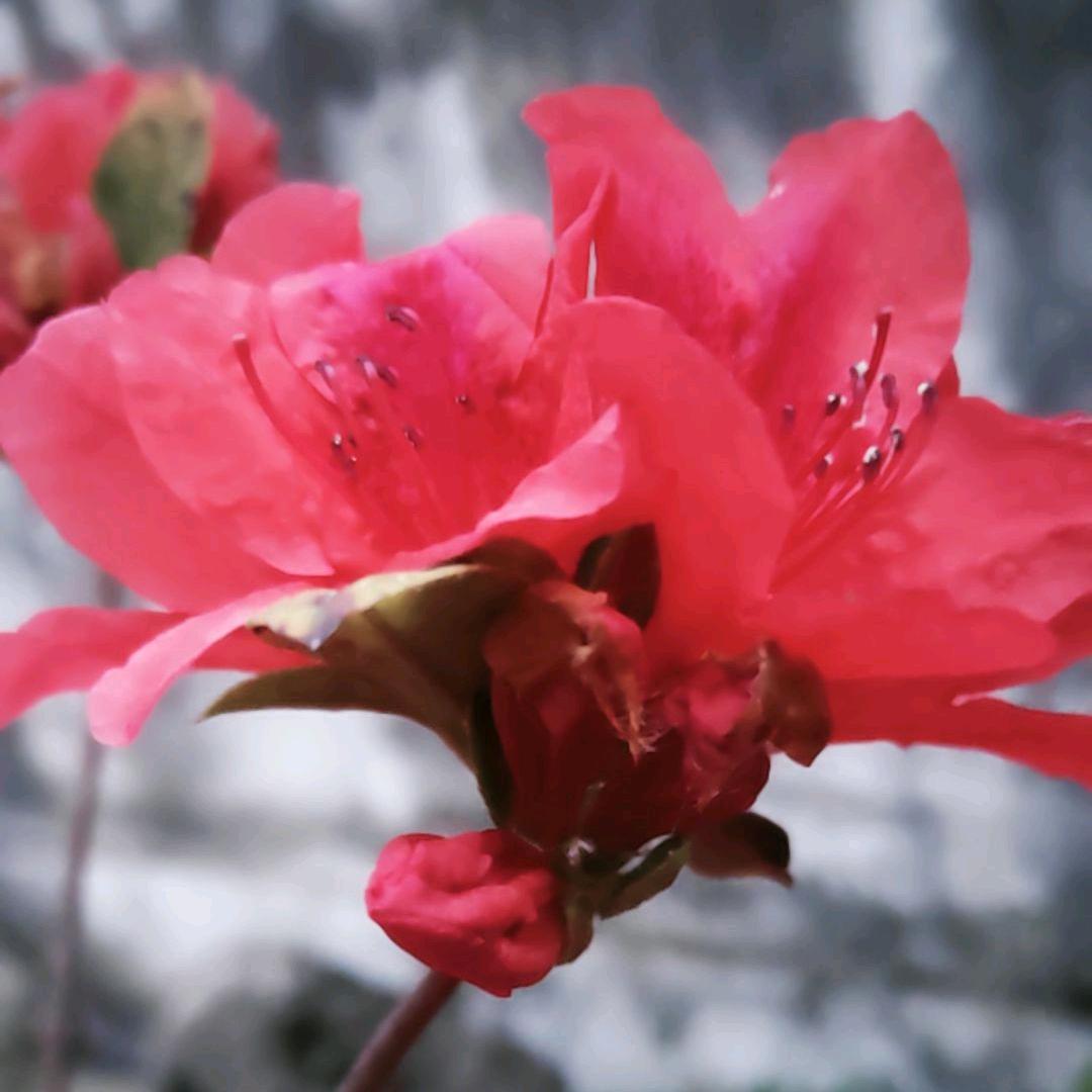暮念💞