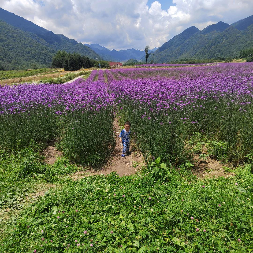 小张同学己开学