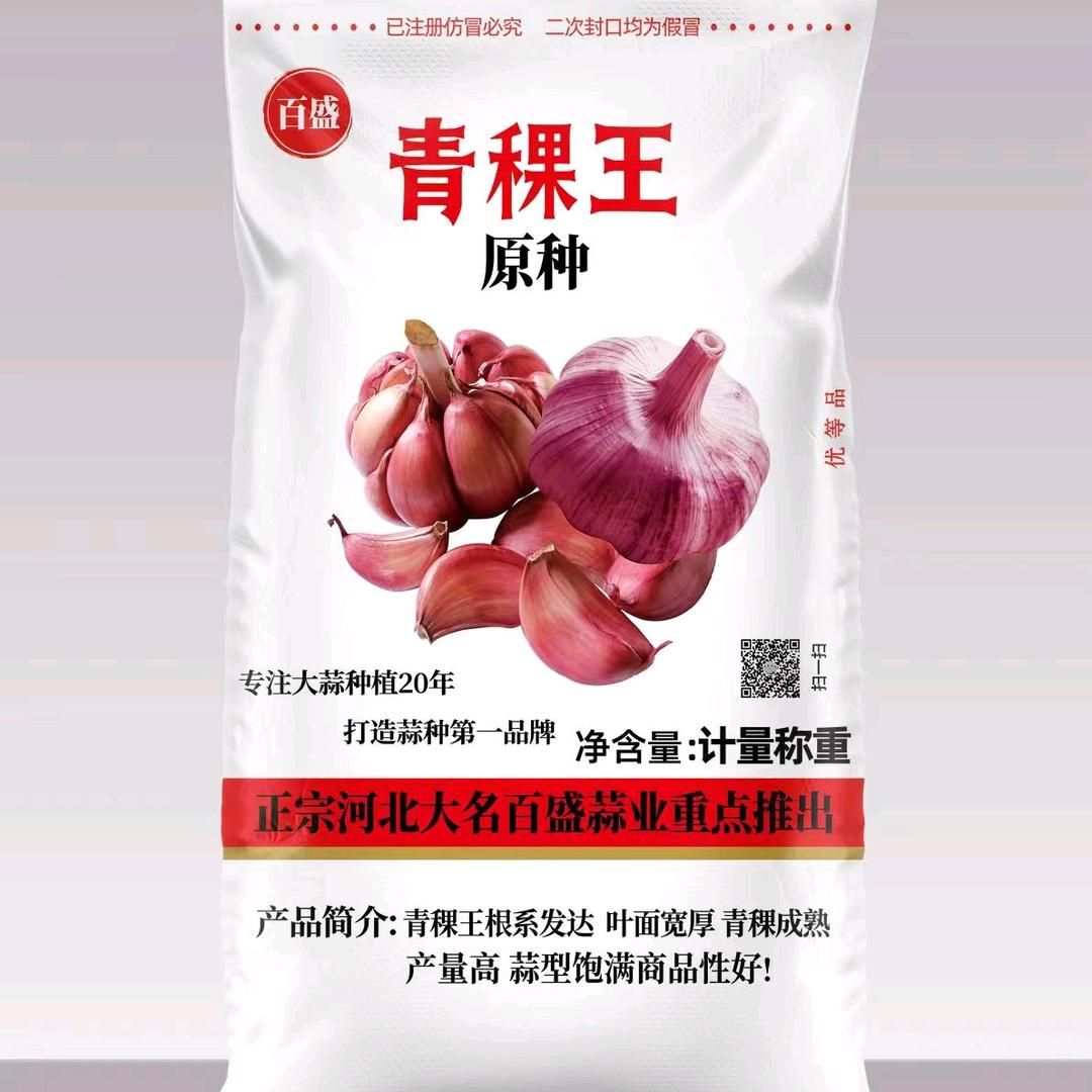 大名百盛蒜业蒜种基地