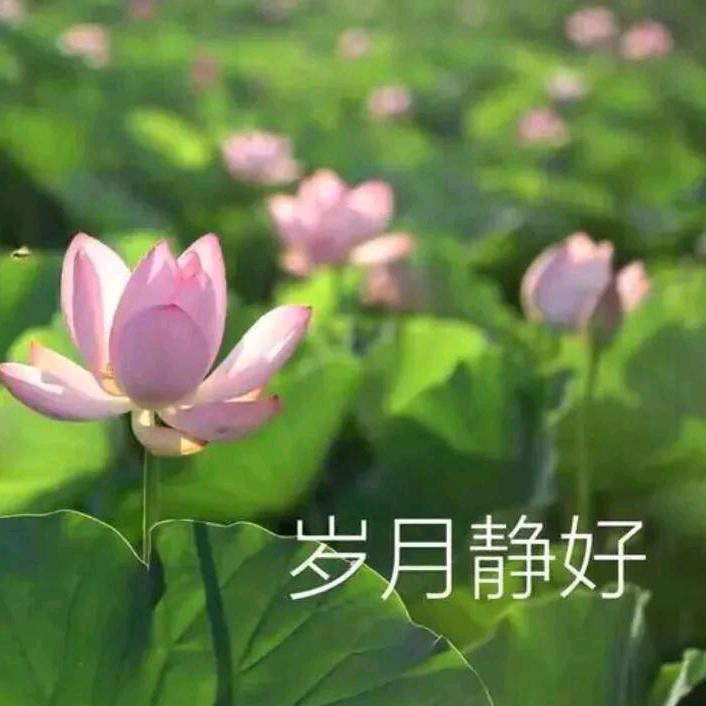 明天的太阳