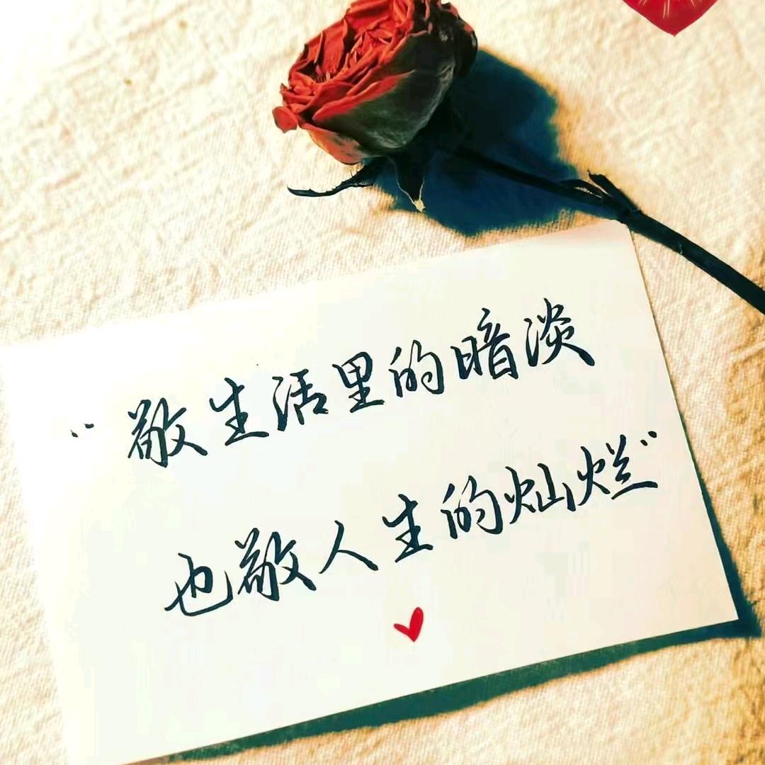 周大姐有一手