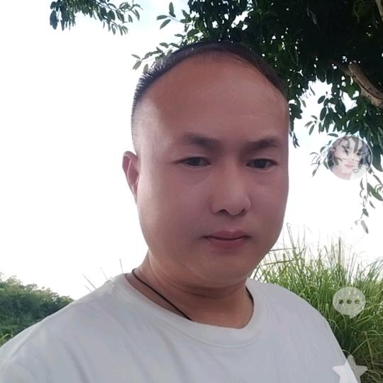 @魏星地图（全国飞）