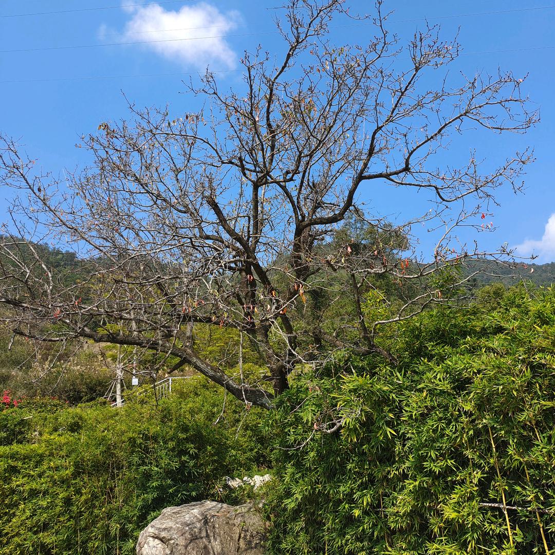 萌时伴