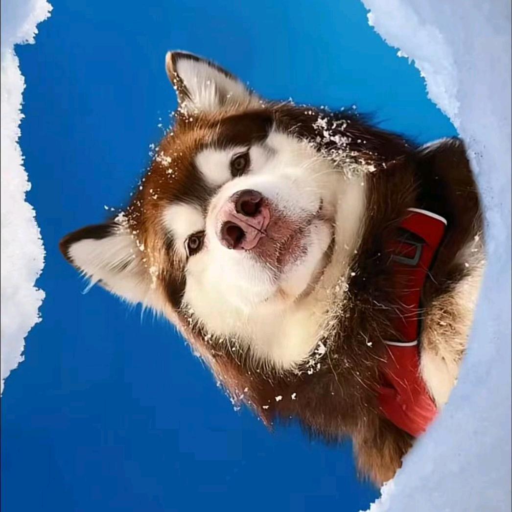 楠渡。。。
