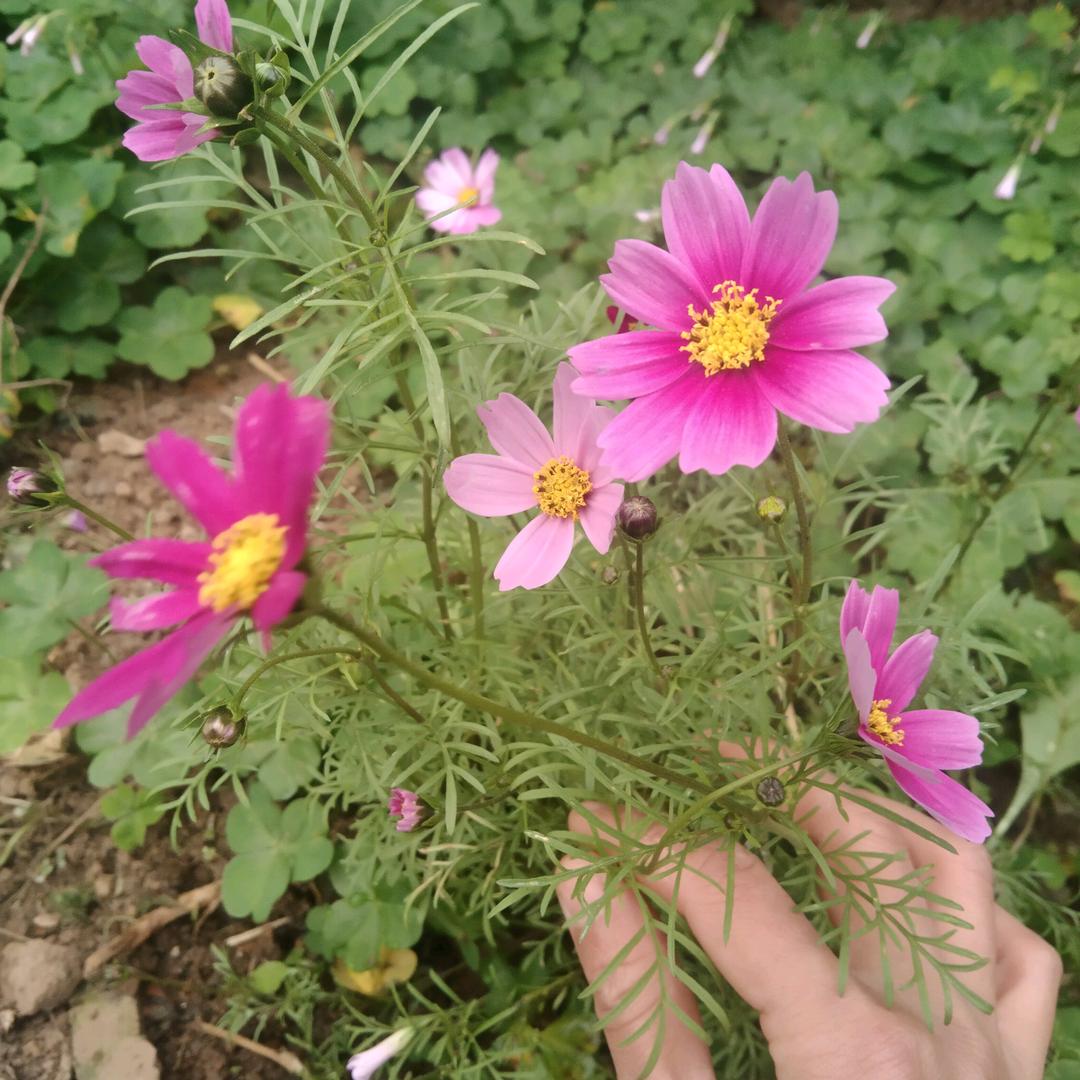 半辈子不想遇见你