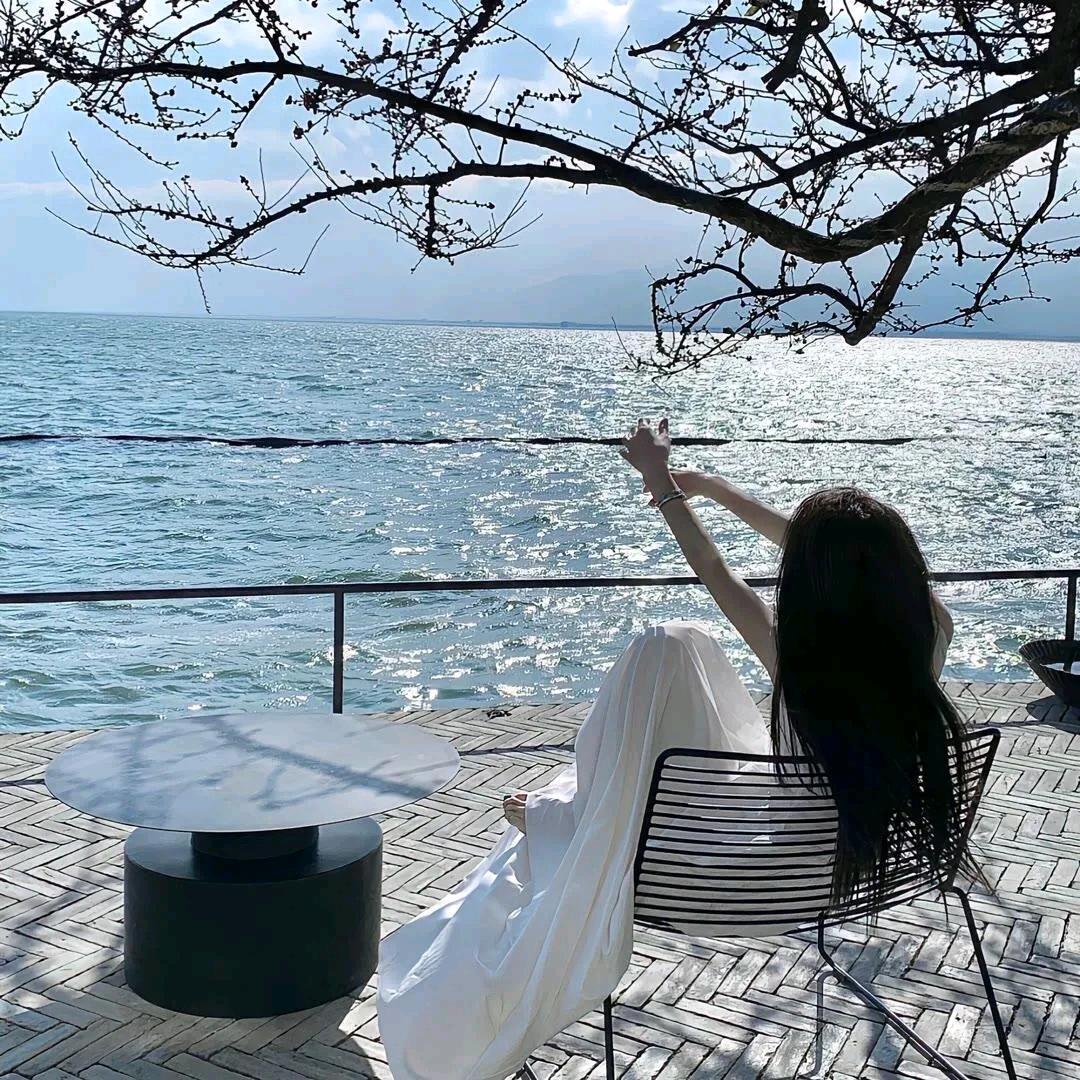 文以载道（线上读书汇）